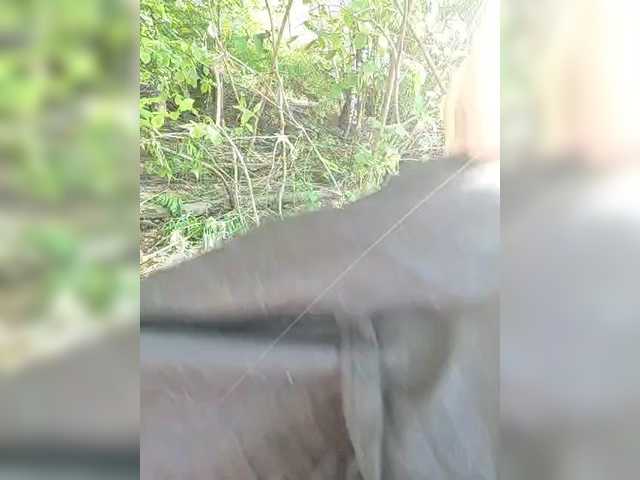 Hotpepper-Sweetpepper live cam