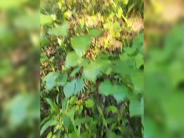 Hotpepper-Sweetpepper live cam on BongaCams