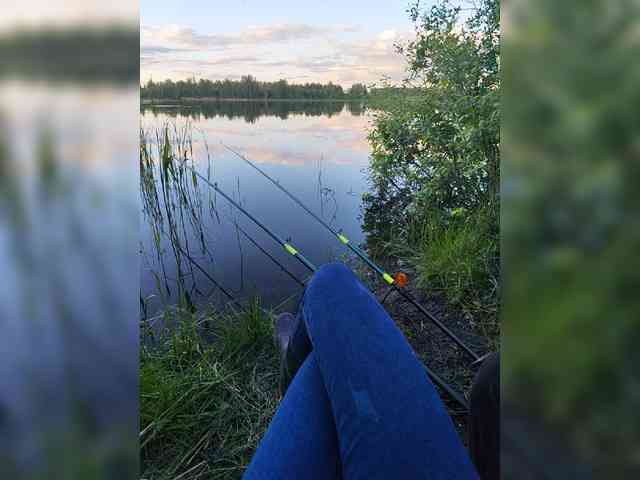 Hotpepper-Sweetpepper webcam