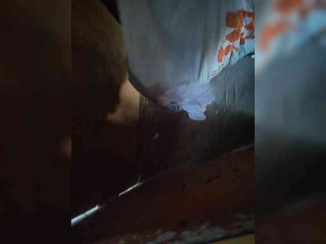 Hotpepper-Sweetpepper webcam