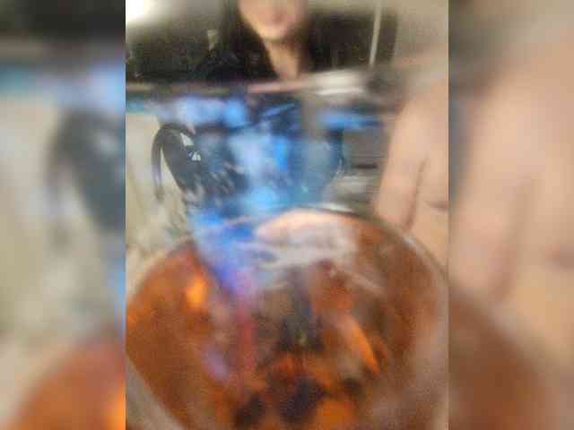 Hotpepper-Sweetpepper webcam