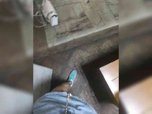 Hotpepper-Sweetpepper webcam
