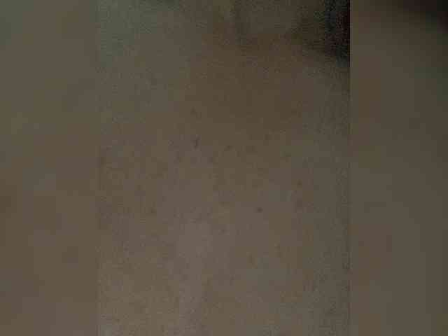 Melissafoxx webcam