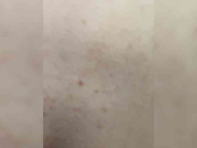 Melissafoxx webcam