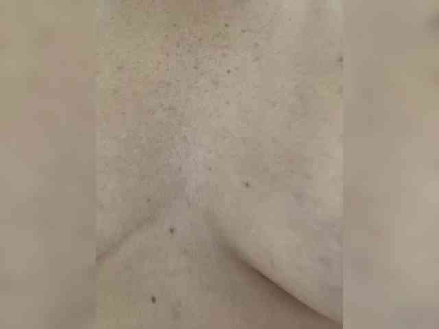 Modelo: MelissaFoxx