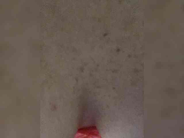Melissafoxx webcam
