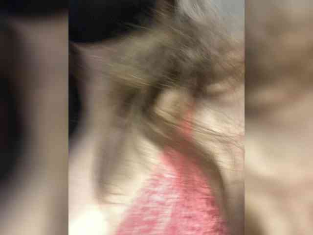 Melissafoxx