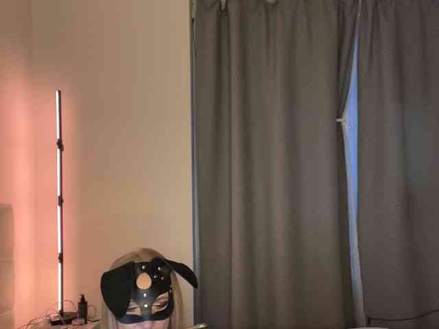 GOROD_GREHOV webcam