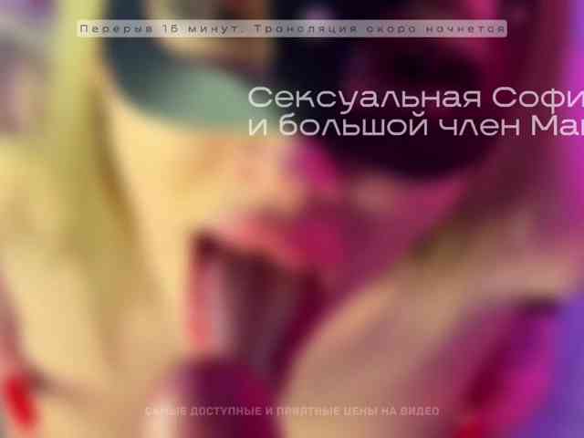 GOROD_GREHOV