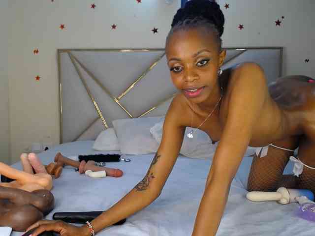 Dripp254