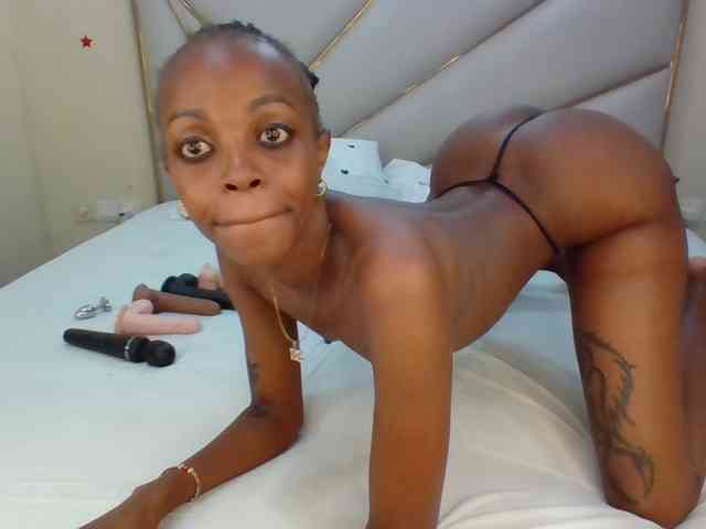Dripp254 webcam