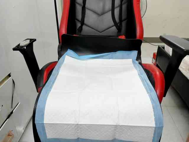 Alice225