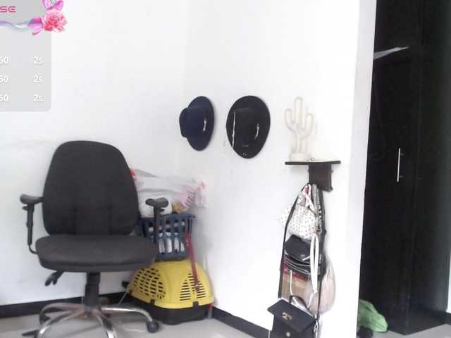aliceparcket live cam on BongaCams