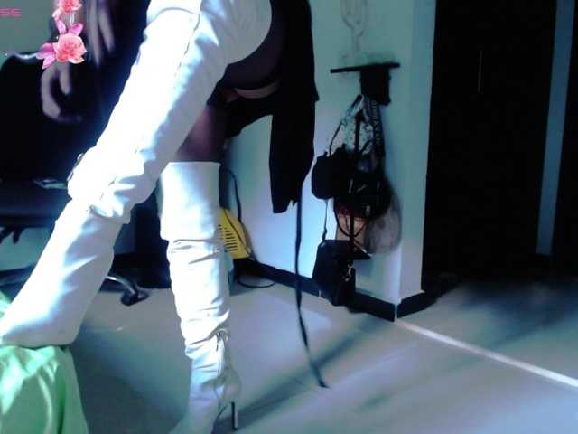 aliceparcket live cam on BongaCams