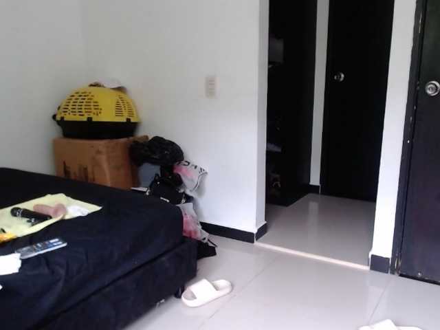 aliceparcket live cam on BongaCams