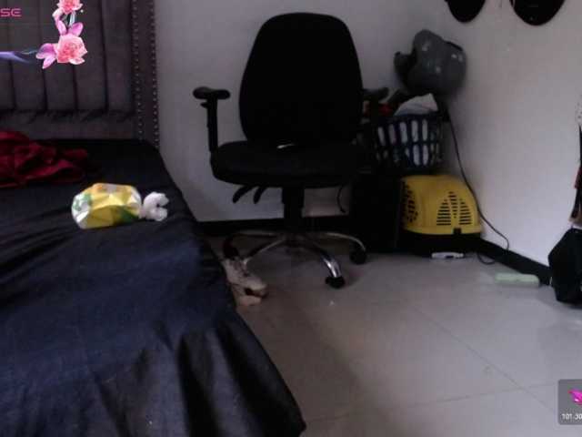 aliceparcket