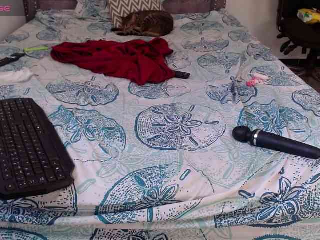 aliceparcket webcam