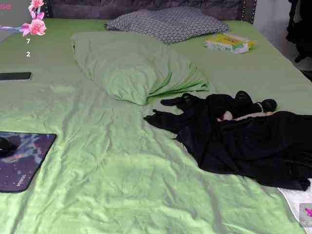 aliceparcket webcam