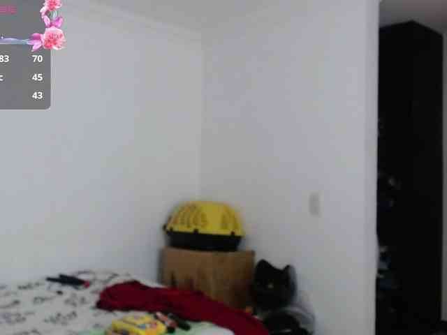 aliceparcket webcam