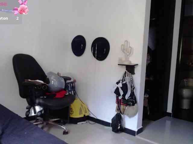 aliceparcket webcam