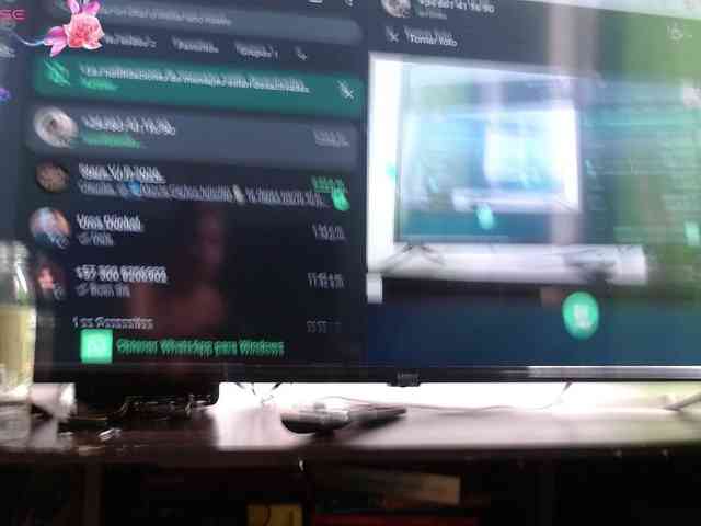 aliceparcket webcam