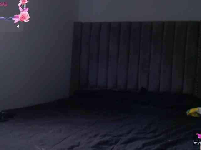 aliceparcket webcam