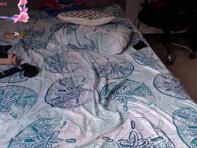 aliceparcket webcam
