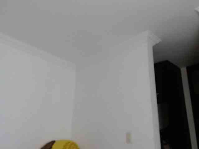 aliceparcket aliceparcket