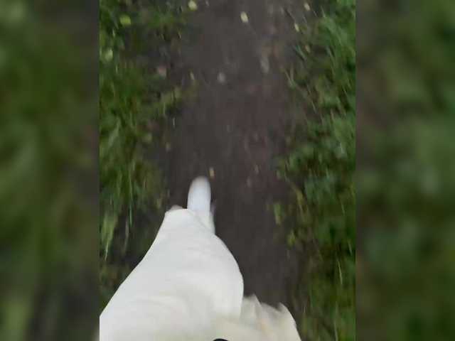 Businkaa