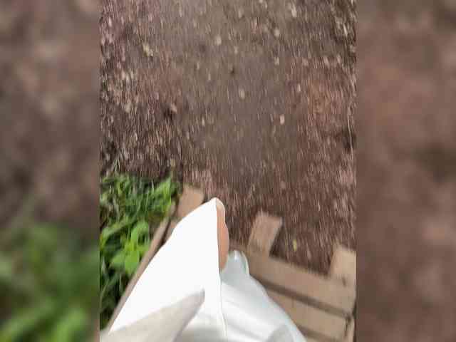 Businka13