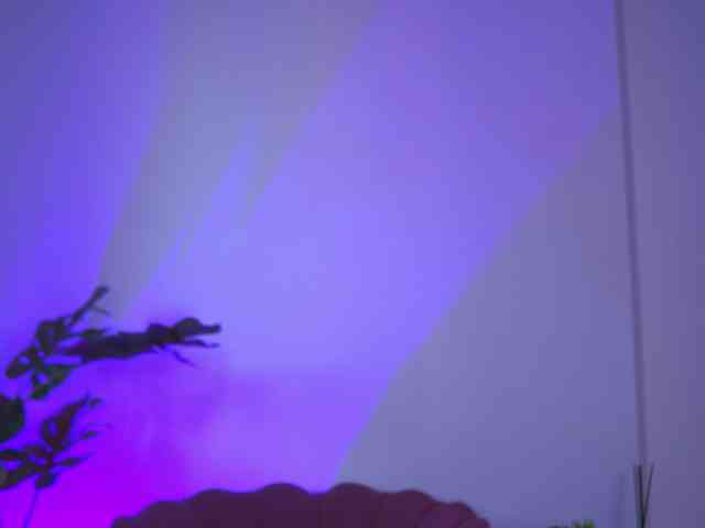 RedLara webcam