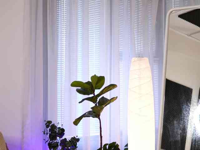 RedLara