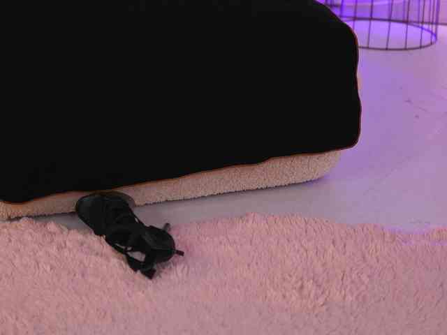RedLara webcam