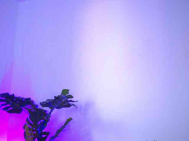 RedLara webcam