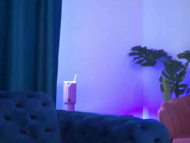 RedLara webcam