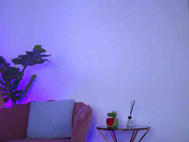 RedLara webcam
