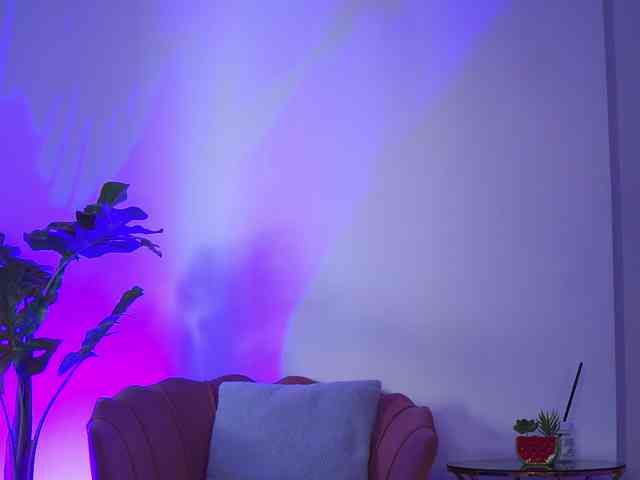 RedLara webcam