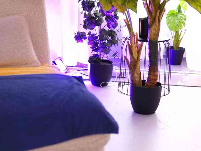 RedLara webcam