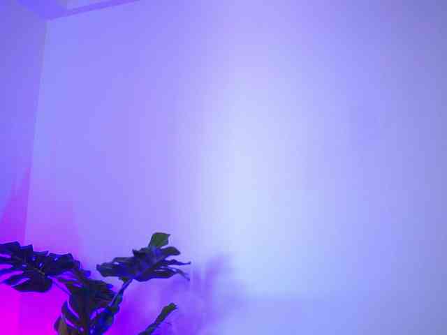 RedLara webcam