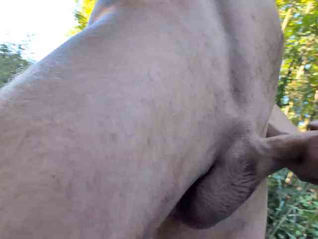czsexxx