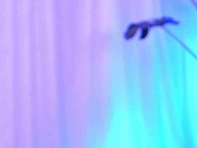 AnaisLeblanc webcam