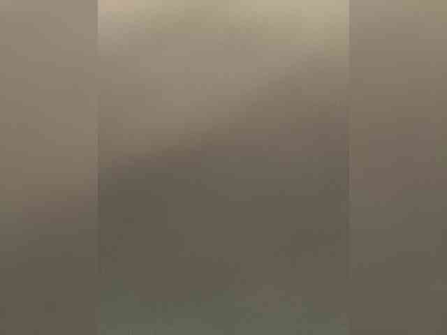 SaliiOnli webcam