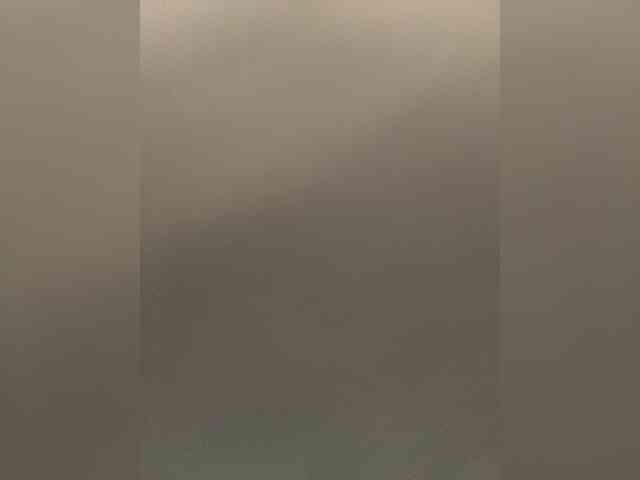 SaliiOnli webcam