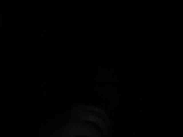 SaliiOnli webcam