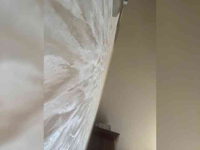 SaliiOnli webcam
