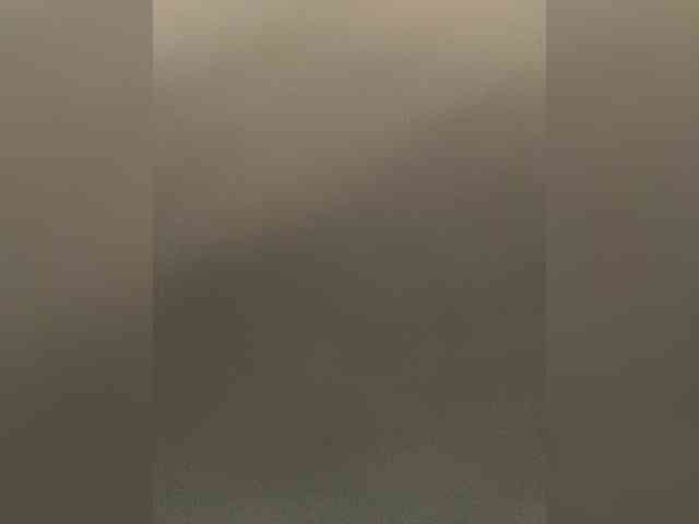 SaliiOnli webcam