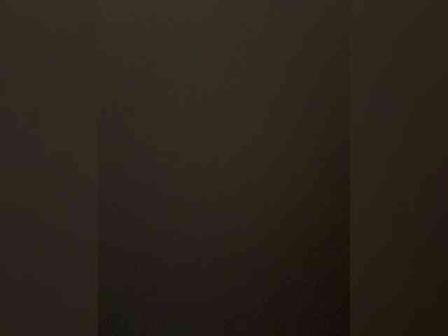 SaliiOnli webcam