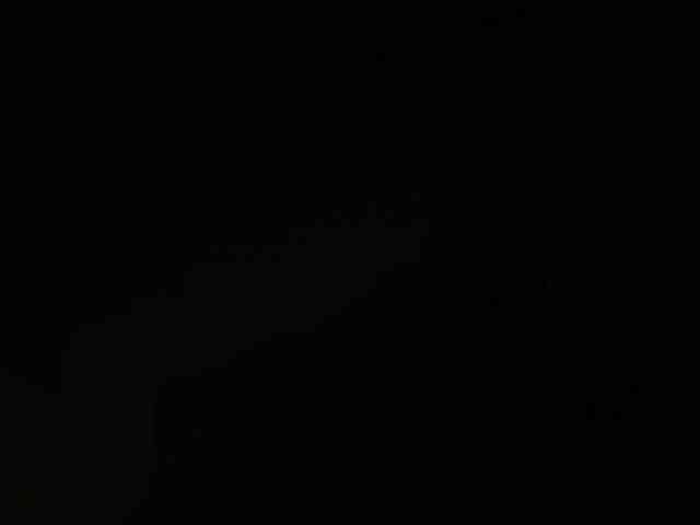 SaliiOnli webcam