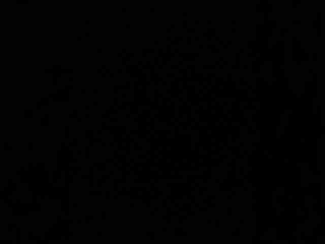 SaliiOnli webcam