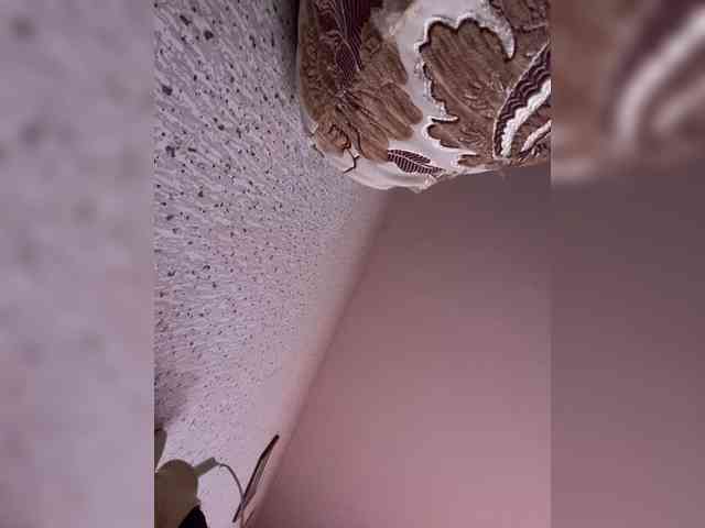 SaliiOnli webcam